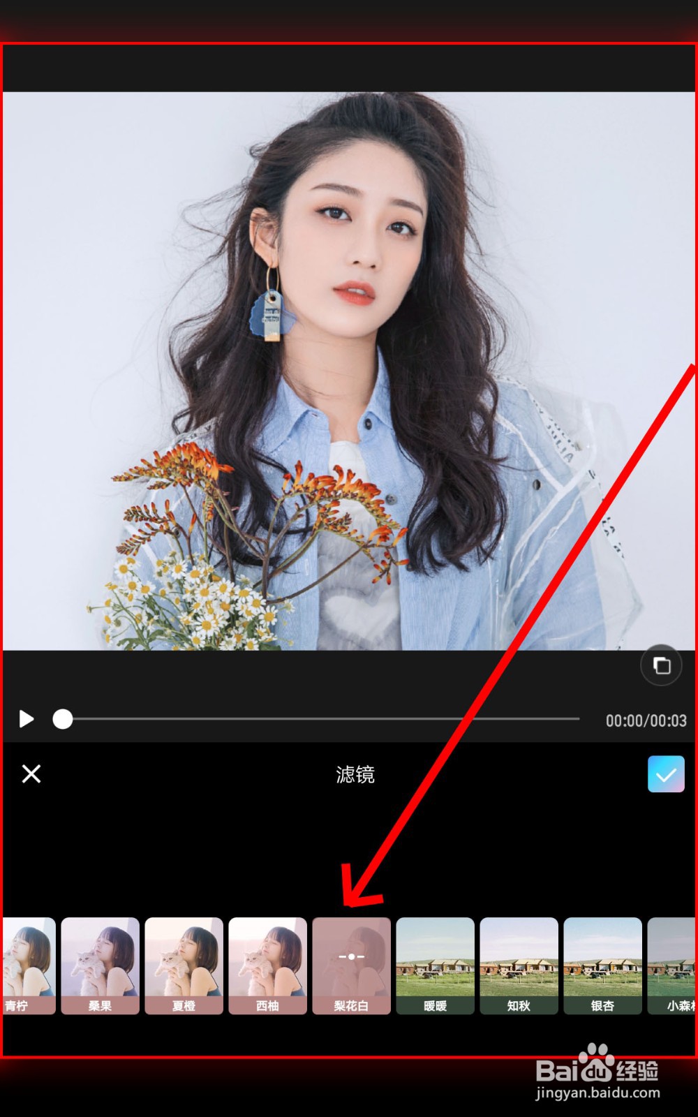 如何在美图秀秀使用滤镜视频编辑工具