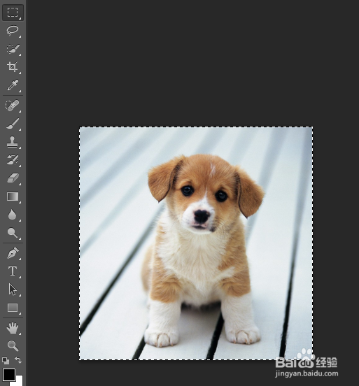 怎么用Photoshop更改图片的形状