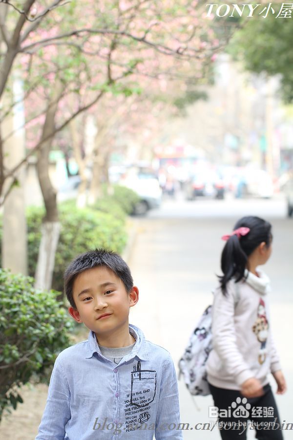 三月江南春天的美丽绽放