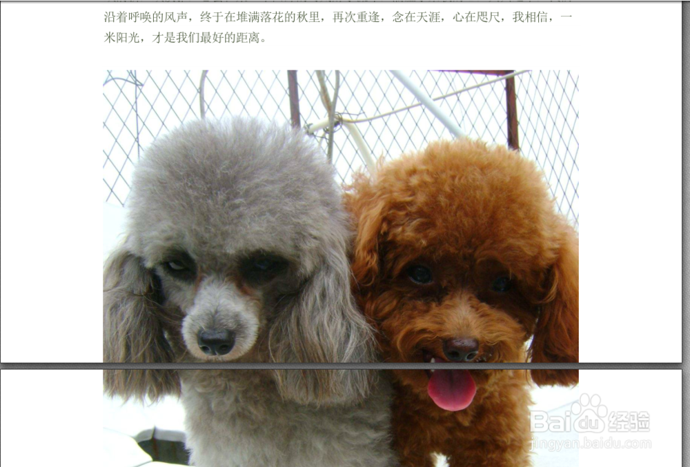 怎么拆分PDF页面,PDF拆分页面的方法