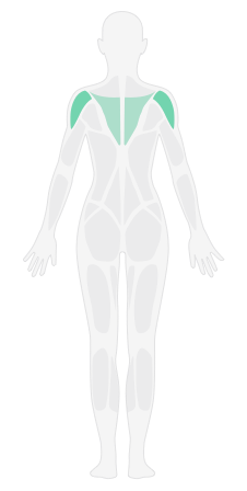 俯身哑铃反向飞鸟_3D肩部轰炸训练