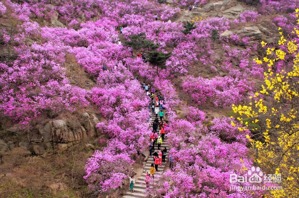 <b>清明节去哪儿玩？（一）</b>