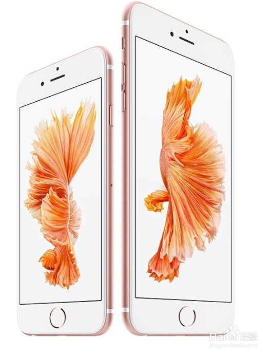 如何识别新买iphone6s手机不是iphone6改装的