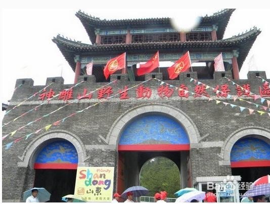 清明节去哪儿玩(二)
