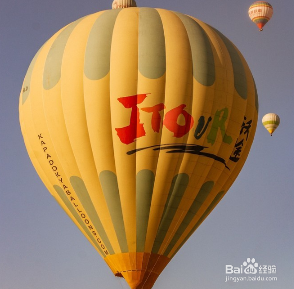 土耳其恋猫之国月落星沉你是黎明时分的光。