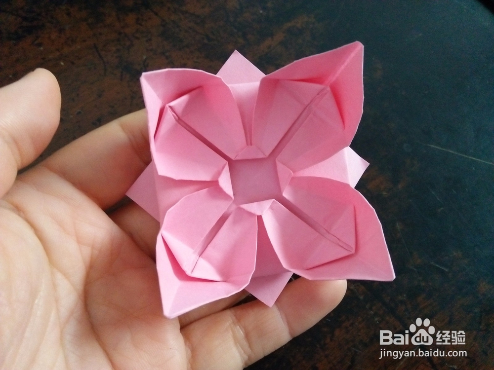 简单的荷花怎么折