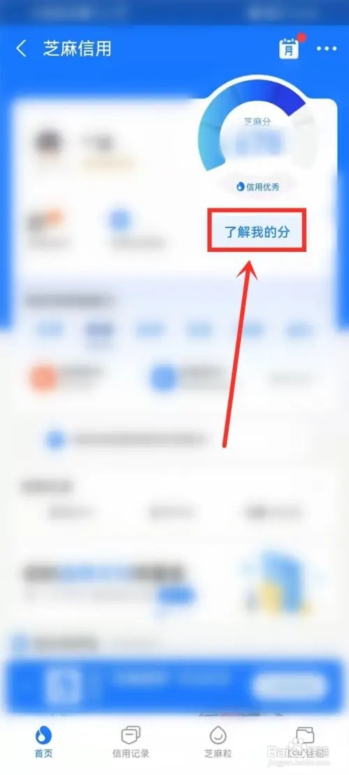 支付宝信誉积分在哪看