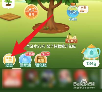 多多果园怎么查看动态