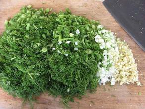 茴香可以做成包子烙成小饼真好吃