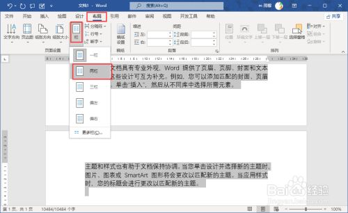 word2021如何设置分栏页码