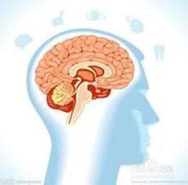 防癌抗癌中的绿仙子