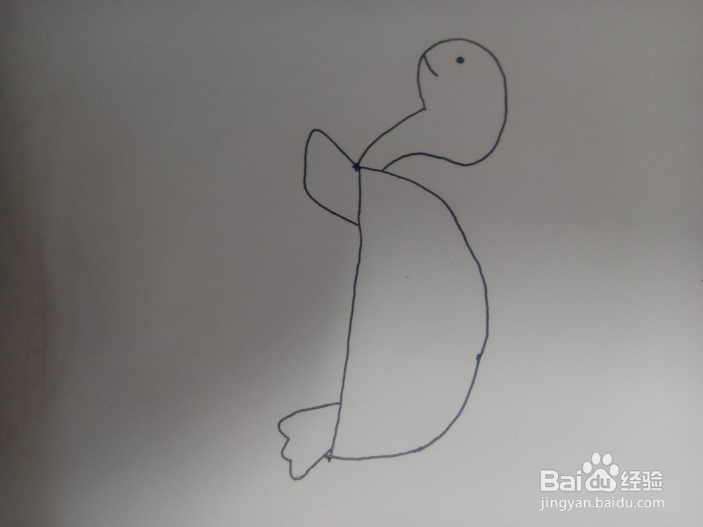 小乌龟简笔画教程