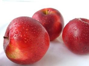<b>三日苹果减肥法真的有效吗？科学回答</b>