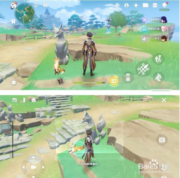 《原神》稻妻特色动物拍照位置大全
