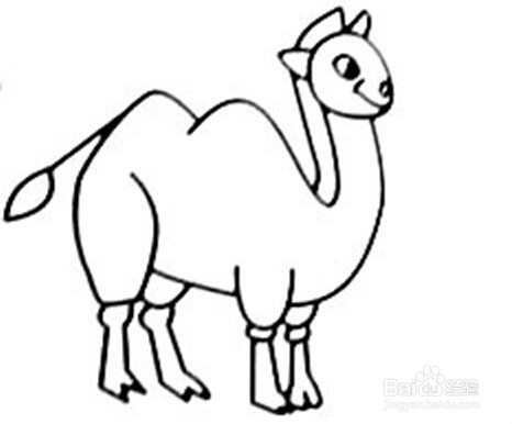 简笔画大全：[15]小金鱼和小骆驼绘画过程