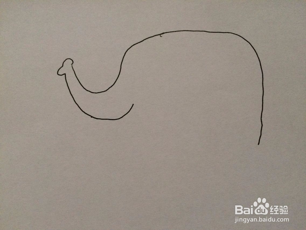 可爱大象的简笔画方法