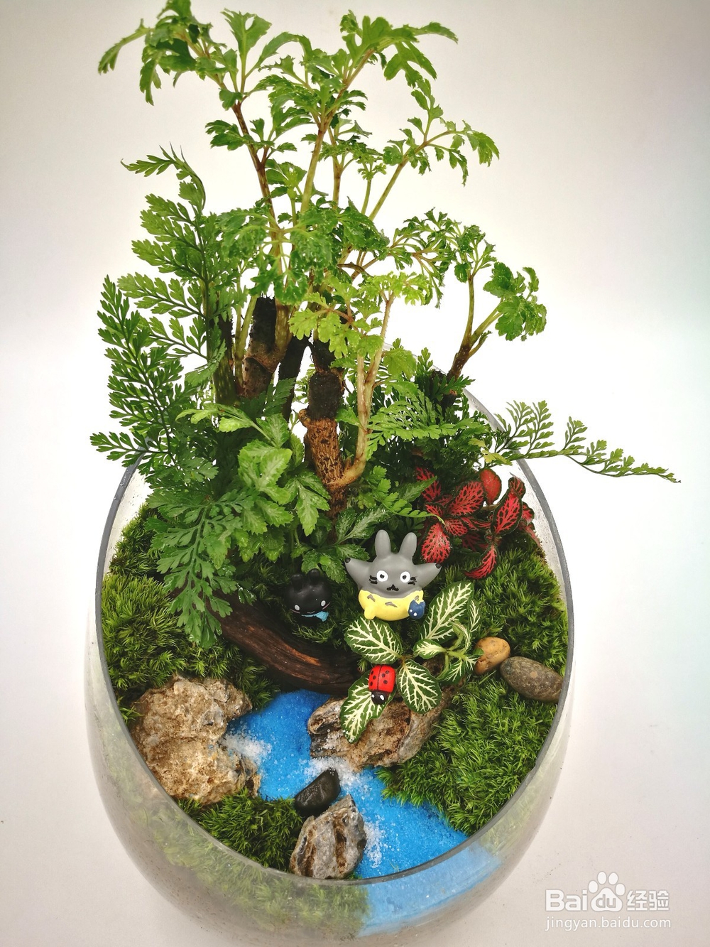 手把手教您制作苔藓微景观