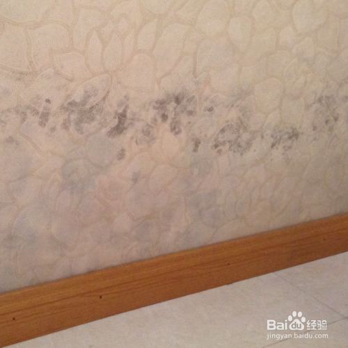 墙纸发霉了怎么翻新