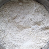 营养白菜包子