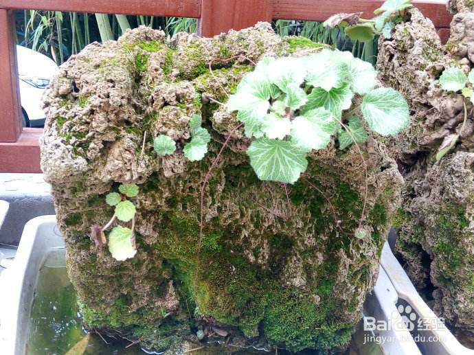 如何使院子不发空