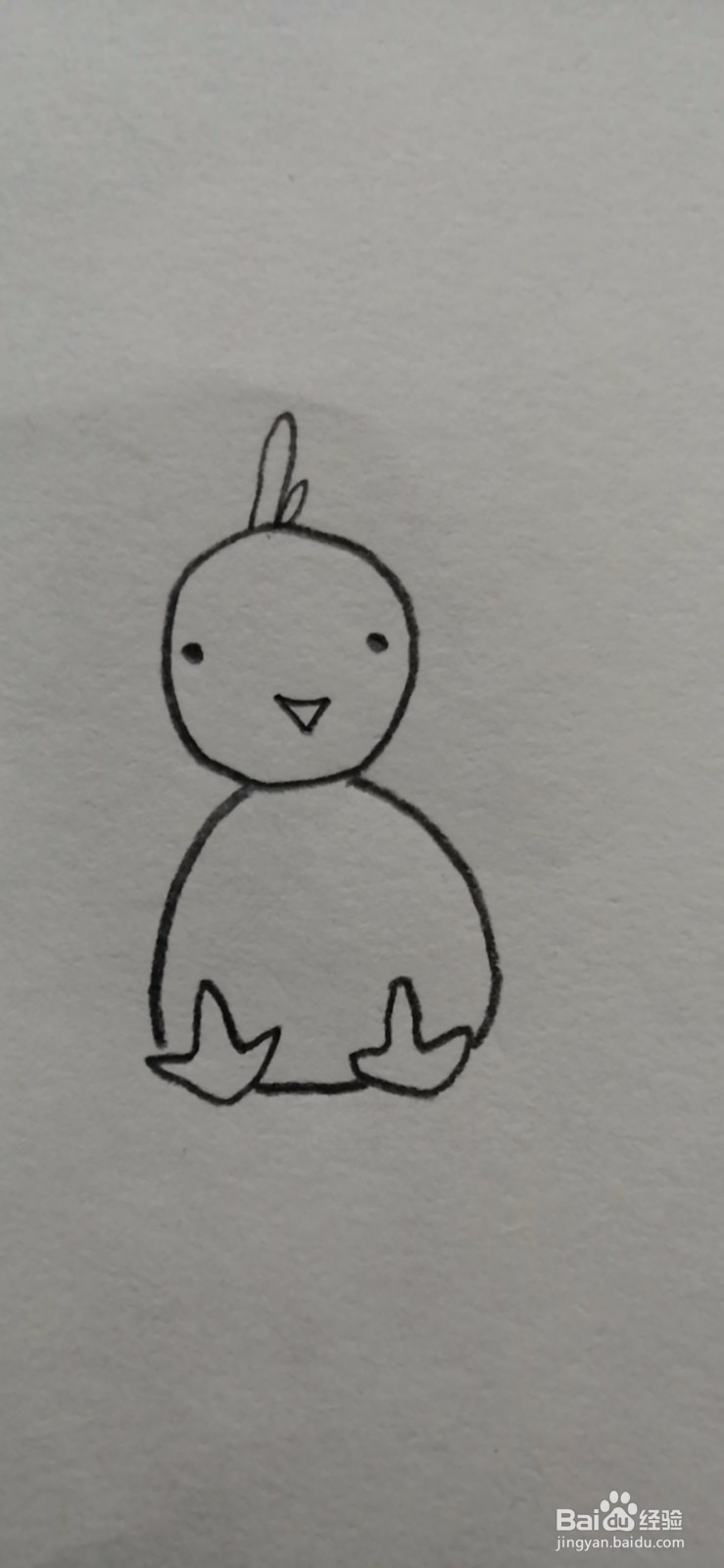 简笔画-可爱卡通小鸡简笔画