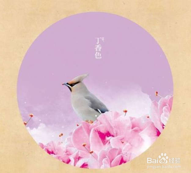 传统服饰色彩的运用攻略