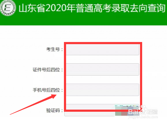 美术提前批录取情况怎么查询
