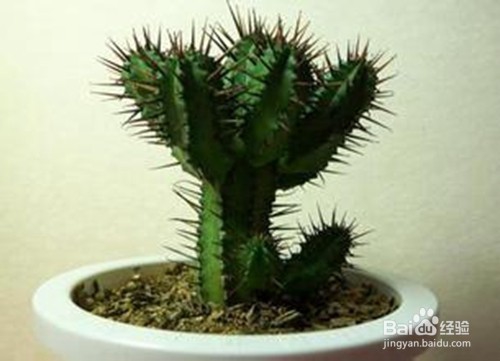 电脑族应该怎样护肤