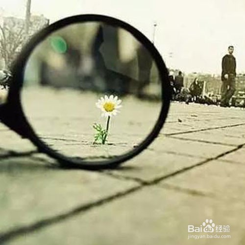 我们怎么样更加好的混在当下