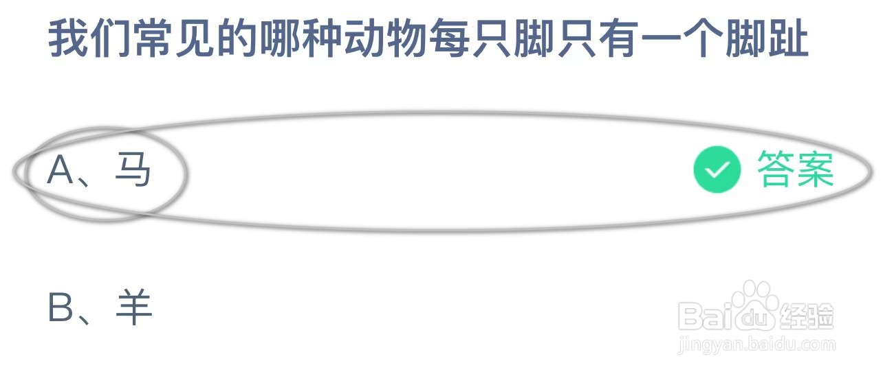 蚂蚁庄园：常见的哪种动物每只脚只有一个脚趾