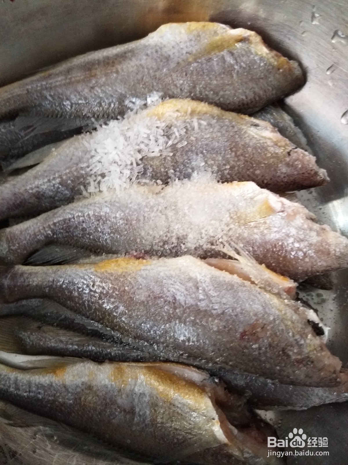 怎样做煸熘小黄花鱼？