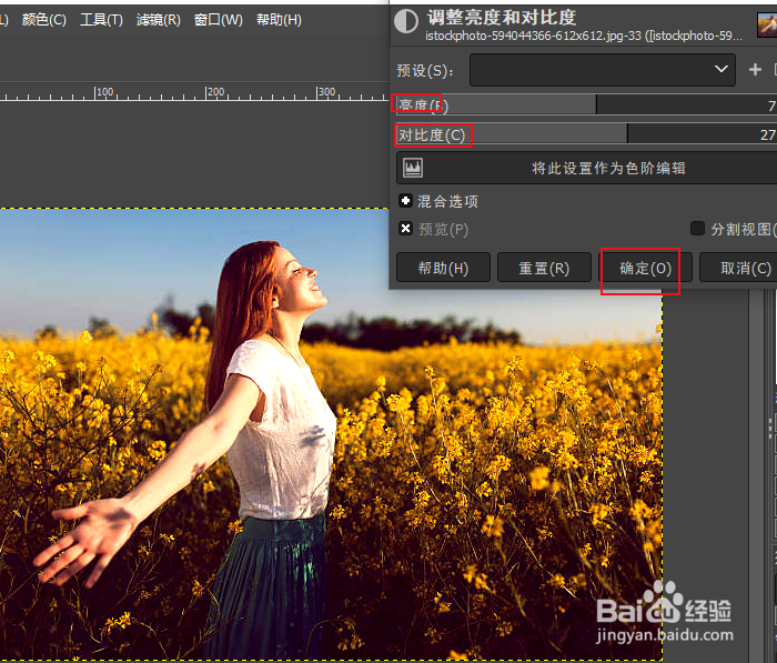 GIMP 如何更改图像的明暗度