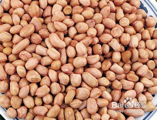 中医如何食物养胃