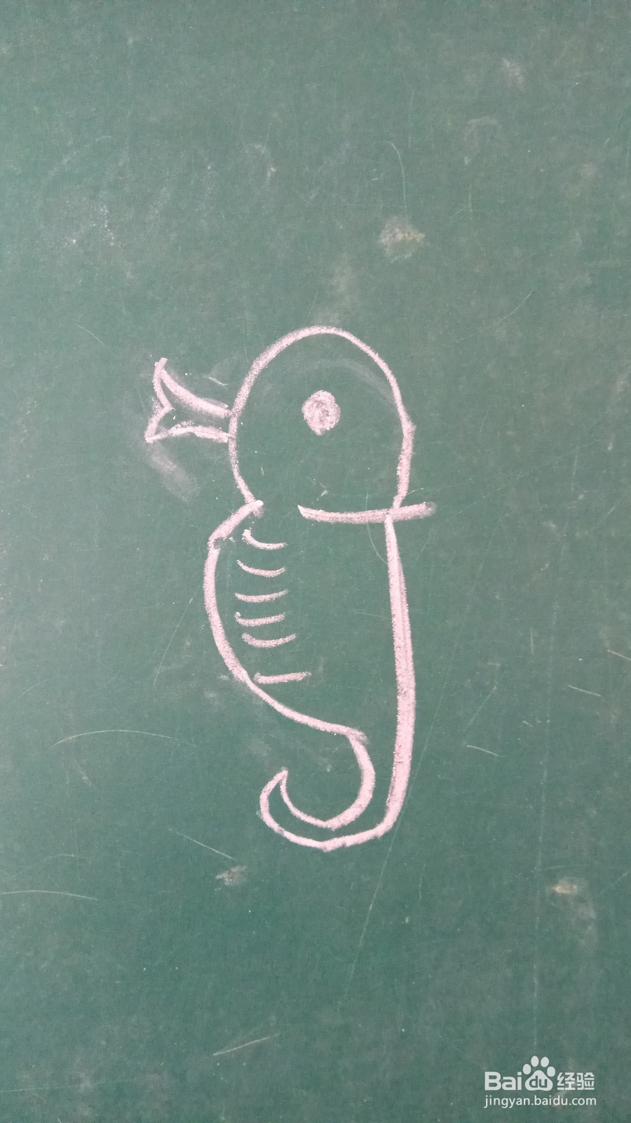 儿童简笔画可爱海马的画法