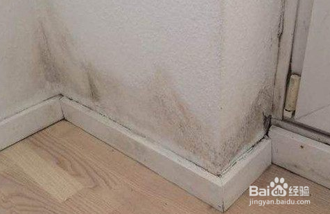 家里有蠼螋怎么消灭