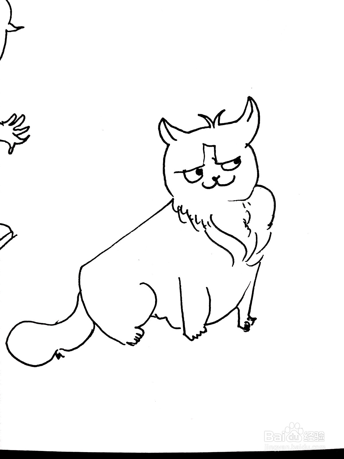 狸猫线描画怎么画