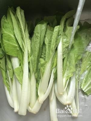 养生食补蒜蓉小白菜