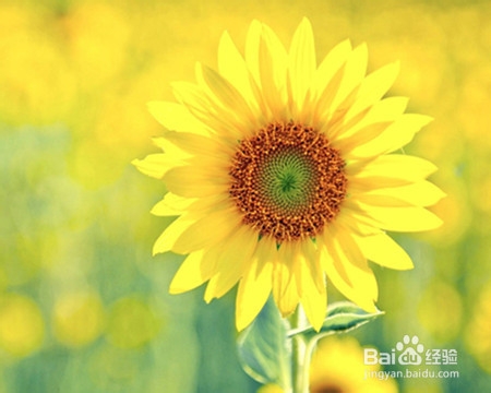 身体的寒从哪里来、夏季如何排寒？