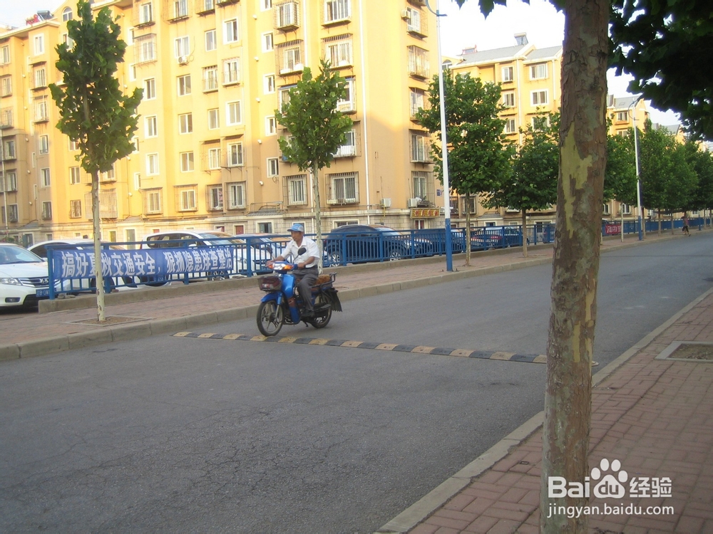 怎样告诉孩子安全过马路--56