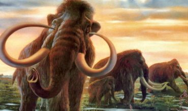 为什么史前动物都那么大