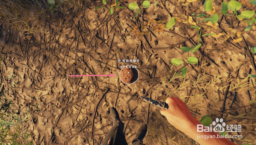 深海搁浅里的椰子有什么吃法？