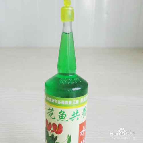 营养液是浇根部还是喷叶面
