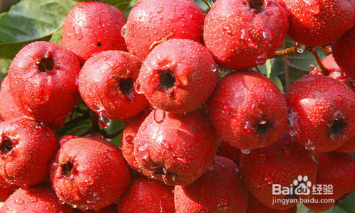 多吃这些水果，远离乳腺癌