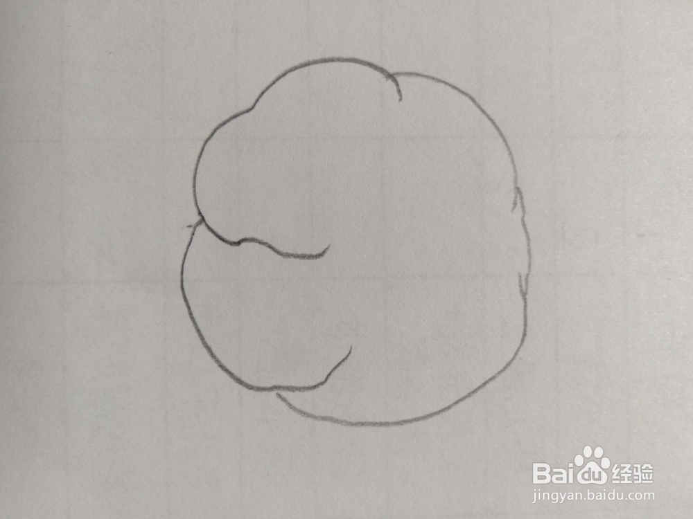 简笔画菜花画法2