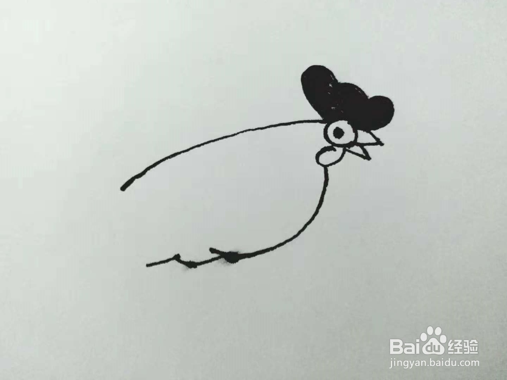 公鸡的简笔画法《四》