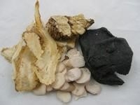 手臂疼痛用当归：[1]血药不容舍当归