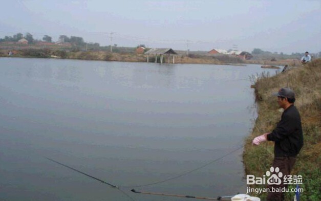 解决鱼钩“挂树