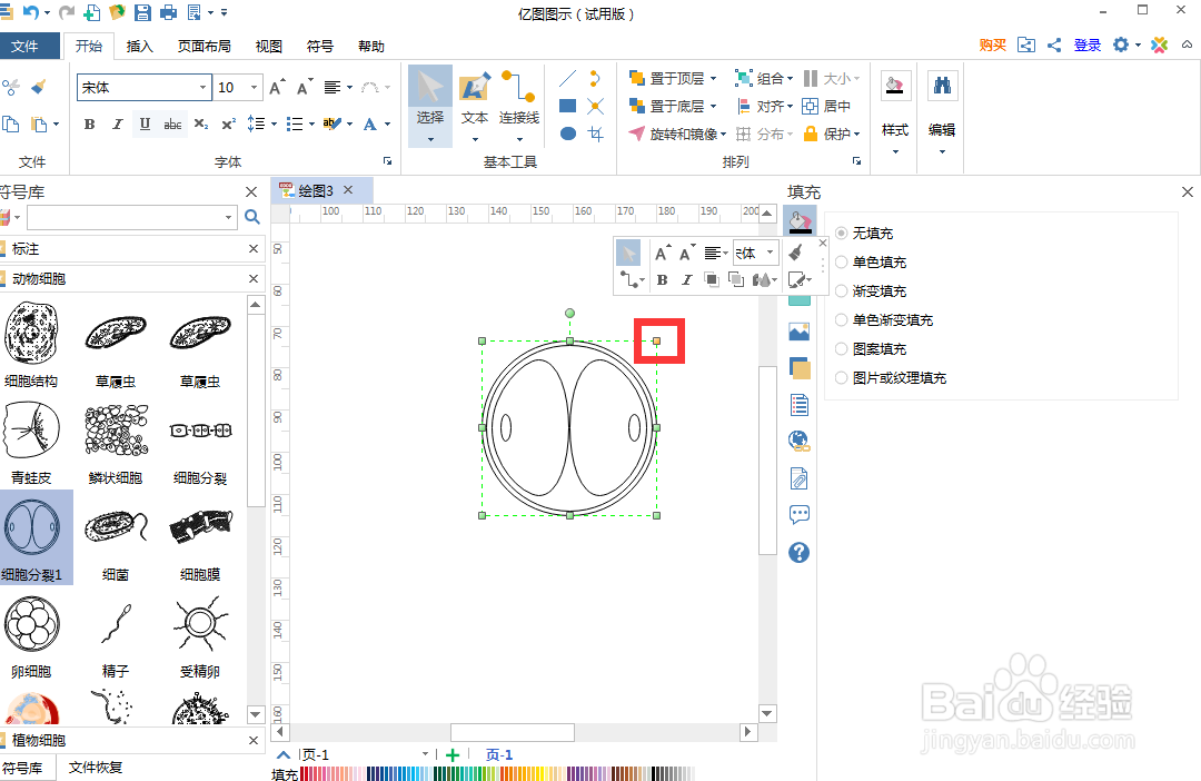 如何在亿图图示中创建细胞分裂示意图