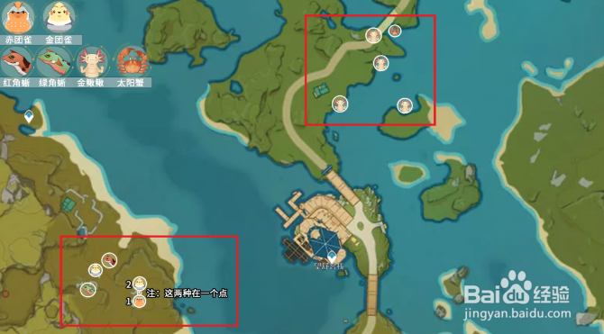 原神小动物分布位置大全