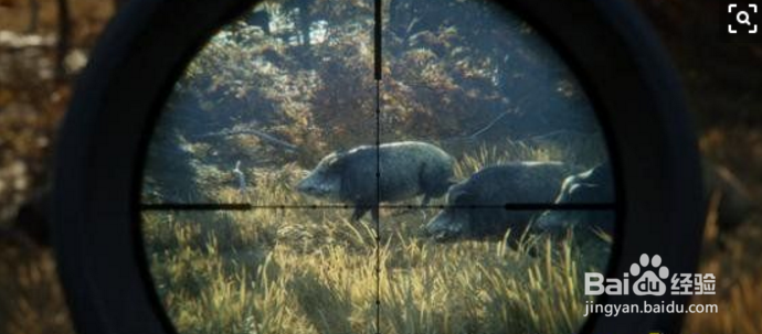 猎人：荒野的呼唤全武器属性介绍及使用心得